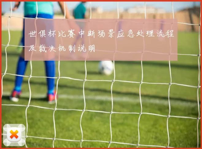 世俱杯比赛中断场景应急处理流程及裁决机制说明