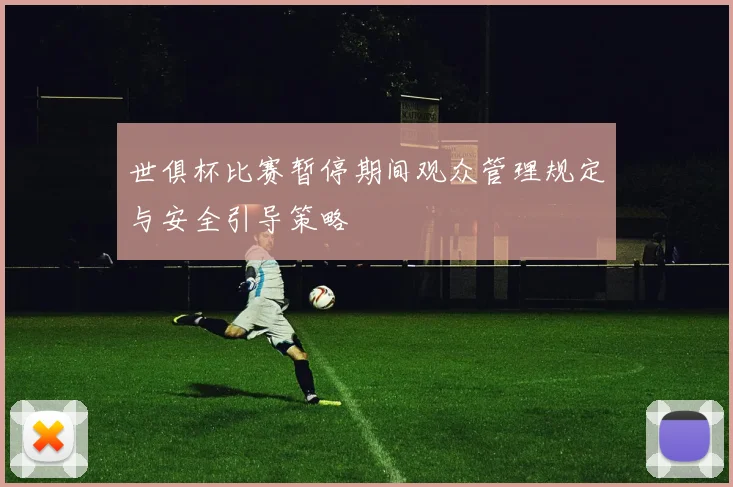世俱杯比赛暂停期间观众管理规定与安全引导策略