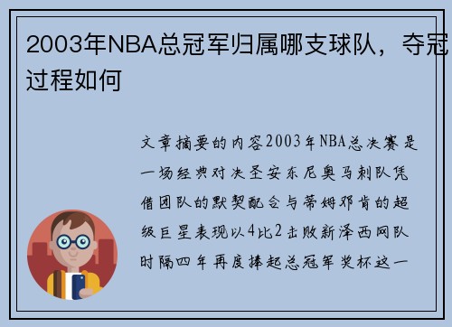 2003年NBA总冠军归属哪支球队,夺冠过程如何